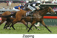 Zipping (18507 bytes)