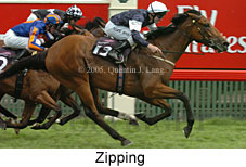 Zipping (18507 bytes)