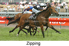 Zipping (18507 bytes)