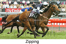 Zipping (18507 bytes)