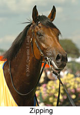 Zipping (18507 bytes)