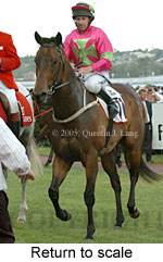 Return to scale (17769 bytes)