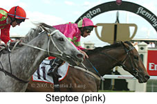 Steptoe (18507 bytes)