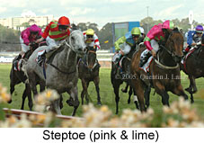 Steptoe (18507 bytes)