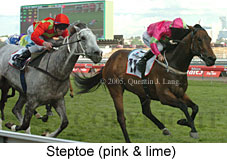 Steptoe (18507 bytes)