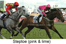 Steptoe (18507 bytes)