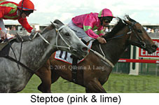 Steptoe (18507 bytes)