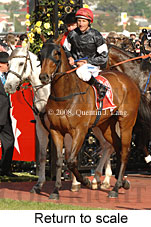 Return to scale (17769 bytes)