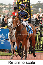 Return to scale (17769 bytes)