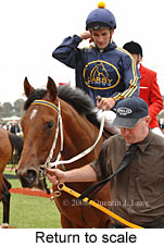 Return to scale (17769 bytes)