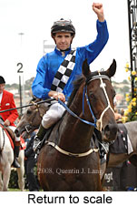 Return to scale (17769 bytes)