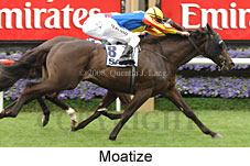 Moatize (21625 bytes)