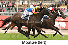 Moatize (21625 bytes)