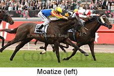 Moatize (21625 bytes)