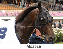 Moatize (21625 bytes)