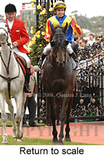 Return to scale (17769 bytes)