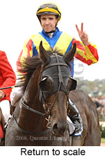 Return to scale (17769 bytes)