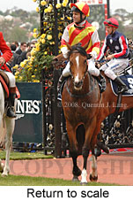 Return to scale (17769 bytes)