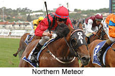 Northern Meteor (21625 bytes)