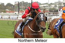 Northern Meteor (21625 bytes)