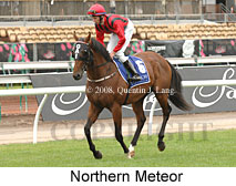 Northern Meteor (21625 bytes)