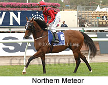 Northern Meteor (21625 bytes)