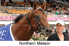 Northern Meteor (21625 bytes)