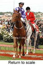 Return to scale (17769 bytes)