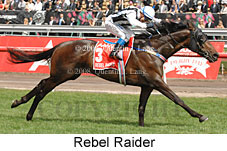 Rebel Raider (17076 bytes)