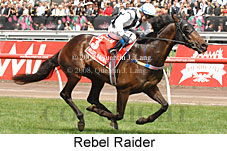 Rebel Raider (21625 bytes)