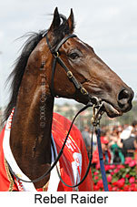 Rebel Raider (21625 bytes)