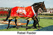 Rebel Raider (21625 bytes)