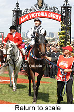 Return to scale (17769 bytes)