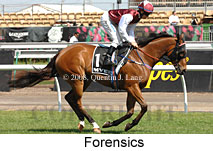 Forensics (21625 bytes)