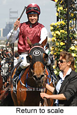 Return to scale (17769 bytes)