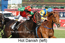 Hot Danish (21625 bytes)