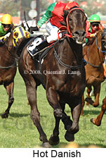 Hot Danish (21625 bytes)