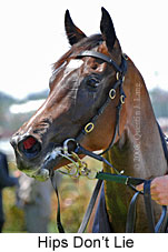 Hip's Don't Lie (14872 bytes)