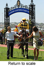 Return to scale (15361 bytes)