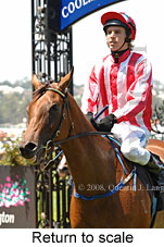 Return to scale (15361 bytes)