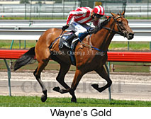 Wayne's Gold (14872 bytes)