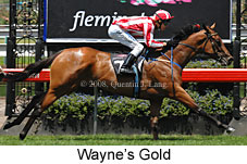 Wayne's Gold (14872 bytes)