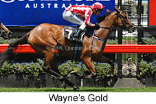 Wayne's Gold (14872 bytes)