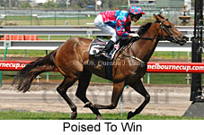 Poised To Win (14872 bytes)