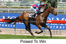 Poised To Win (14872 bytes)