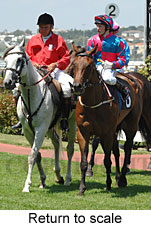 Return to scale (15361 bytes)