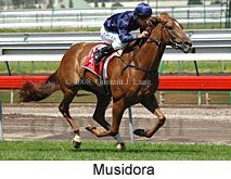 Musidora  (18229 bytes)