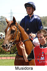 Musidora (14872 bytes)