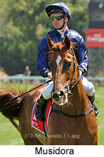 Musidora (14872 bytes)