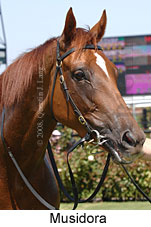 Musidora (14872 bytes)
